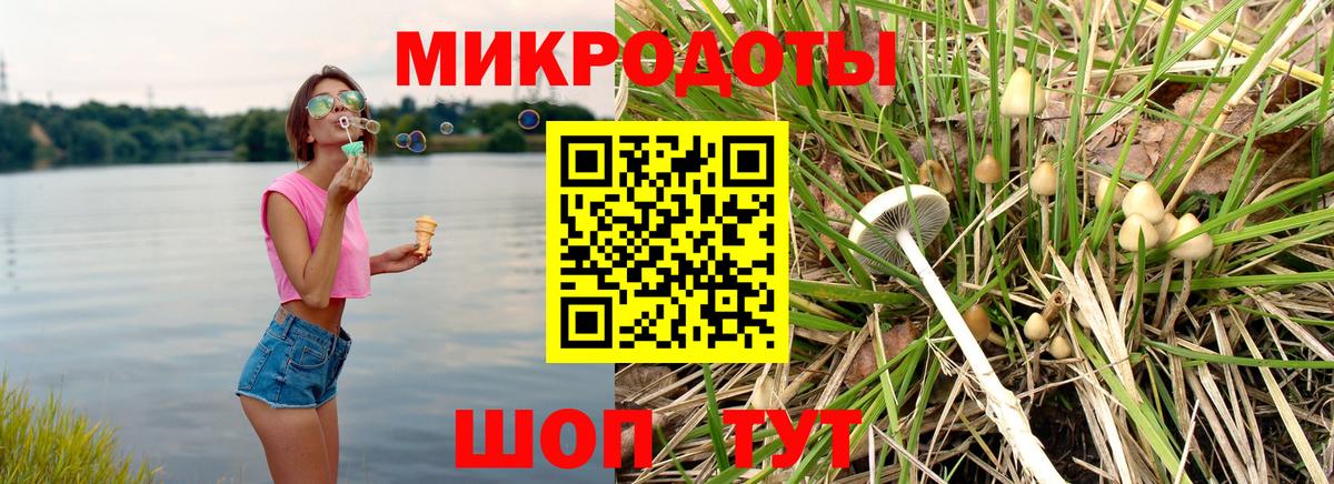 Галлюциногенные грибы Cubensis Северобайкальск